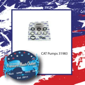 31983 KIT, SEAL by CAT PUMPS (4023)