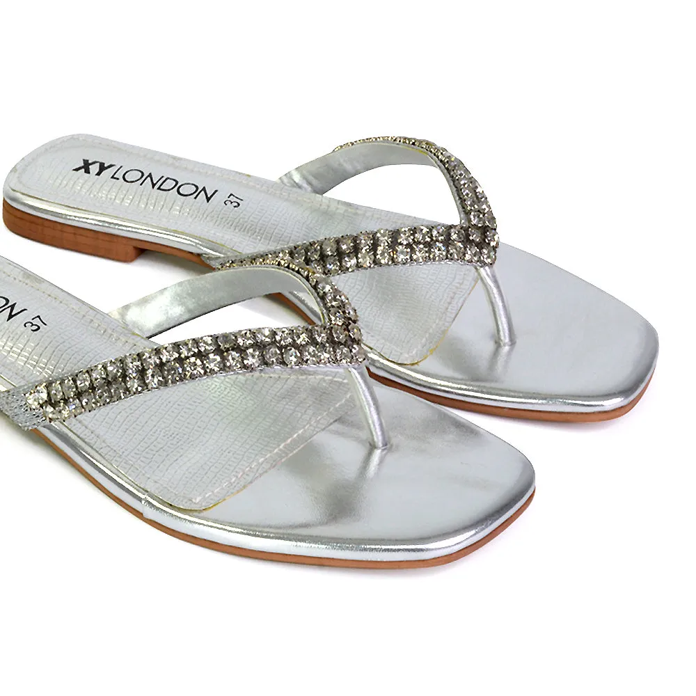 Jazlyn Flat Diamante Flip Flop Sandals Thong Summer Shoes in Silver