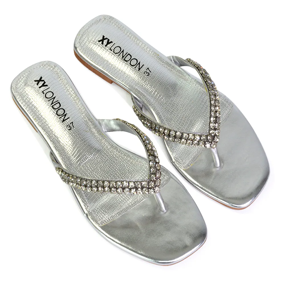 Jazlyn Flat Diamante Flip Flop Sandals Thong Summer Shoes in Silver