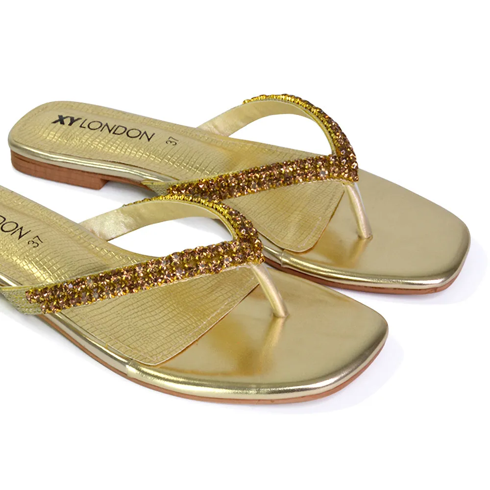 Jazlyn Flat Diamante Flip Flop Sandals Thong Summer Shoes in Silver