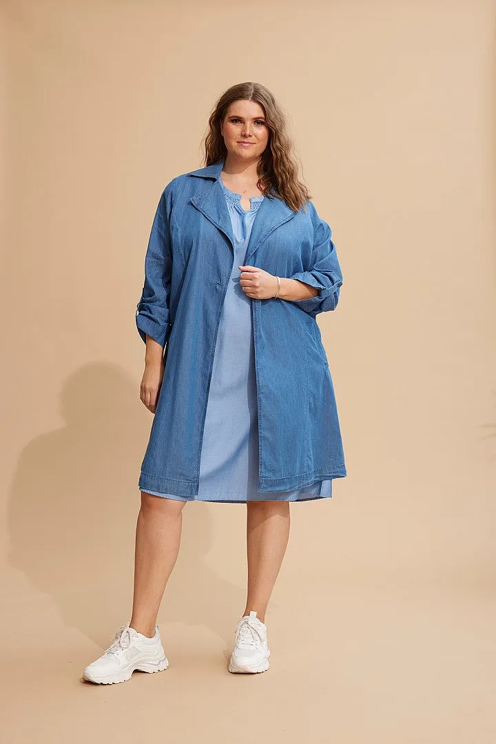 Zhenzi Megane Denim Dress